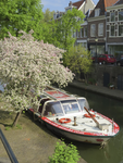 906916 Afbeelding van een rondvaartboot van rederij Schuttevaer, aangemeerd op de Oudegracht ter hoogte van de ...